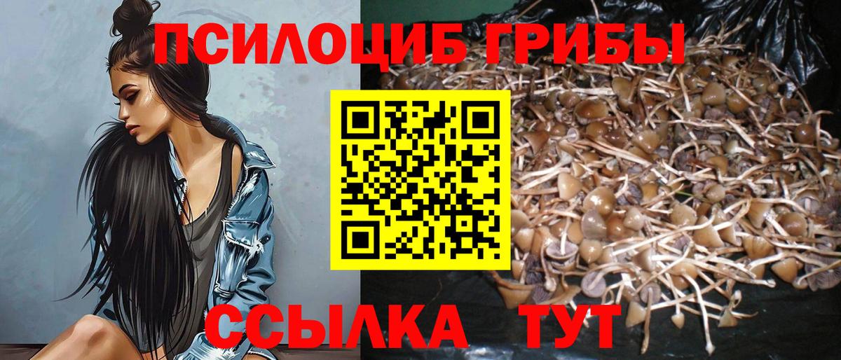 Галлюциногенные грибы мицелий Новокубанск